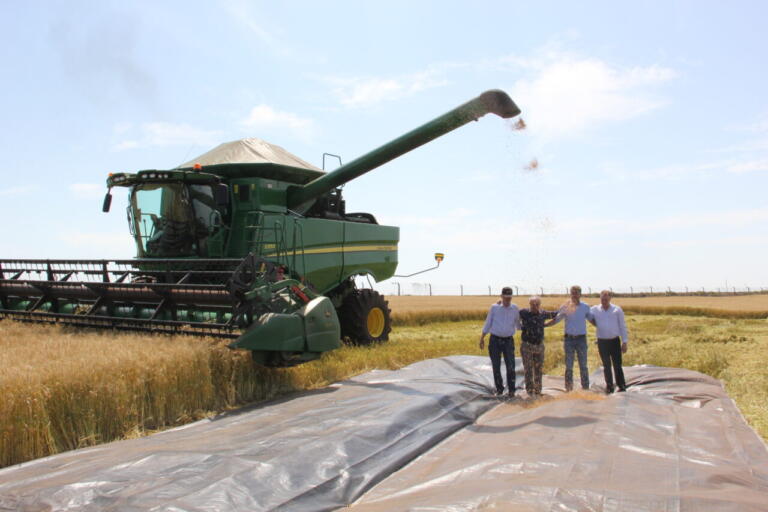 Brasil tem a chance de se tornar exportador de trigo, diz Ortigara