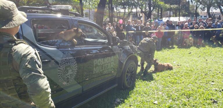 1ª Cãominhada do BPFron arrecada 1,6 tonelada de ração para ONG e cuidadores de cães de Marechal e região