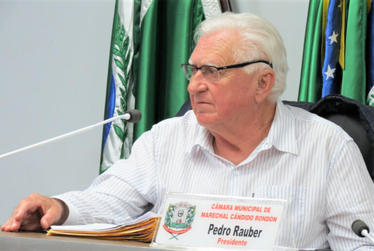 Pedro Rauber solicita melhorias na sinalização de trânsito no Bairro Vila Gaúcha