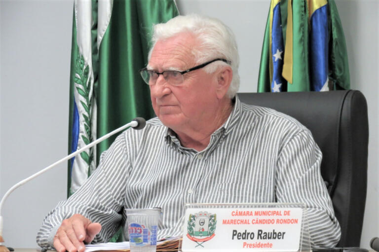 Pedro Rauber sugere melhorias em rua do Jardim Marechal