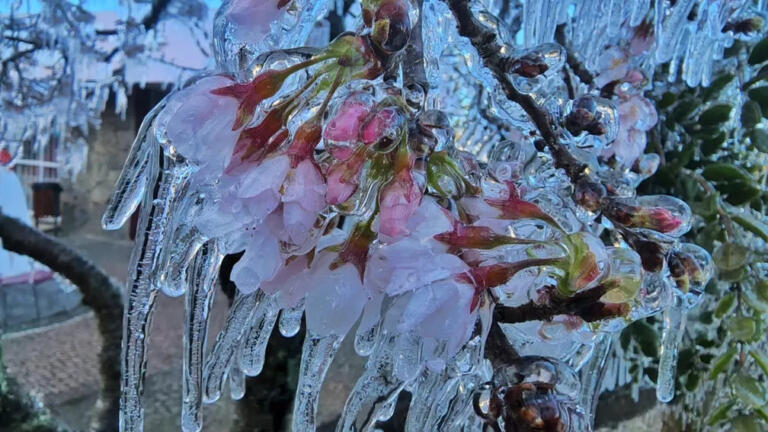 Com -6,4°C, Bom Jardim da Serra tem a menor temperatura de 2022 do Sul do país, informa Inmet