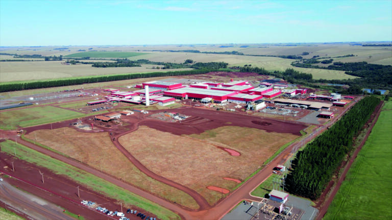 Novo frigorífico da Frimesa vai abater quatro mil suínos por dia a partir de janeiro