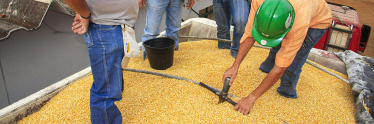 Novos critérios à inspeção vegetal têm consulta pública aberta