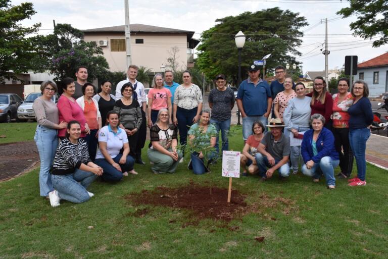 Noventa mil lápis-semente são destinados em comemoração ao Dia da Árvore no Oeste do Paraná