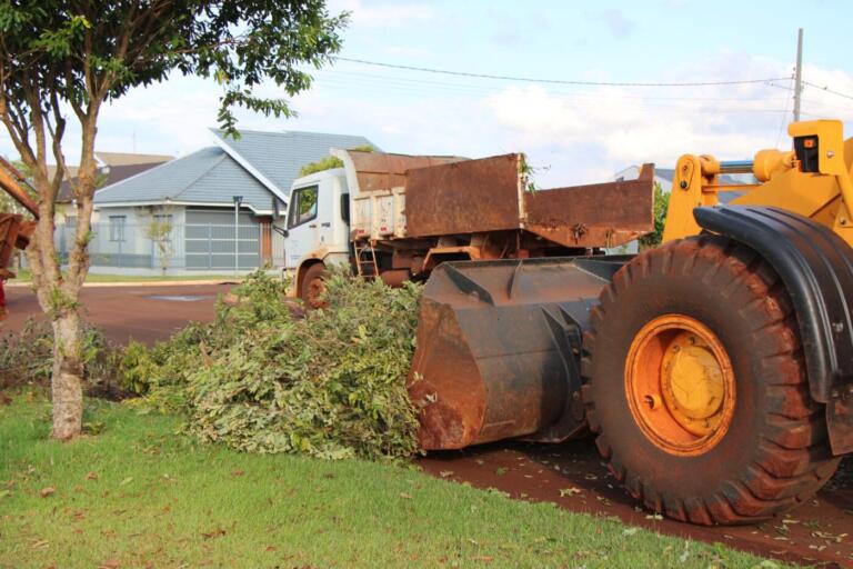 Maripaenses têm até dia 16 para limpeza de terrenos e descarte de galhos