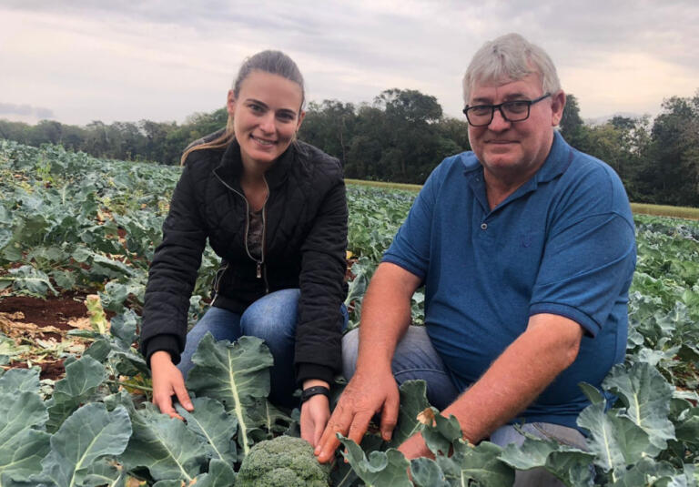 Família de Porto Mendes ganha o mercado com produção de couve-flor e brócolis
