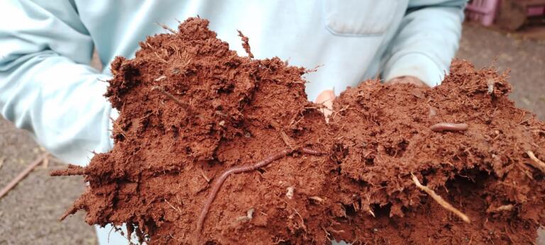 Empresa rondonense aposta em produtos 100% naturais para agricultura