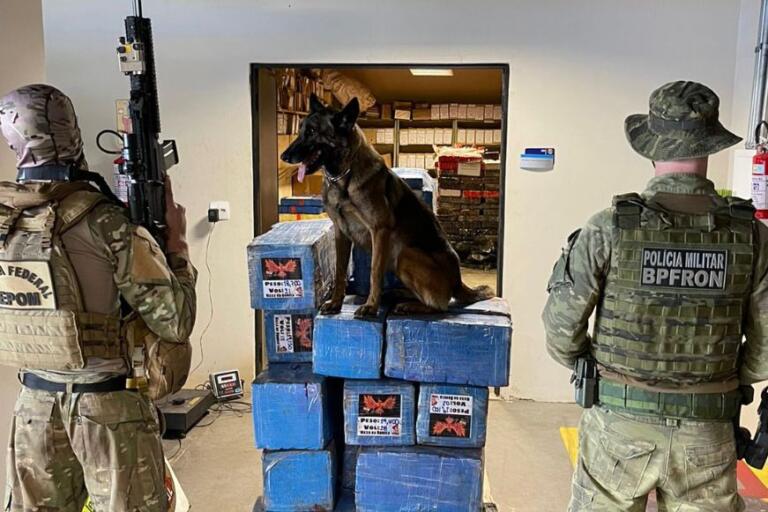 BPFron e Polícia Federal apreendem 530 quilos de maconha em Guaíra