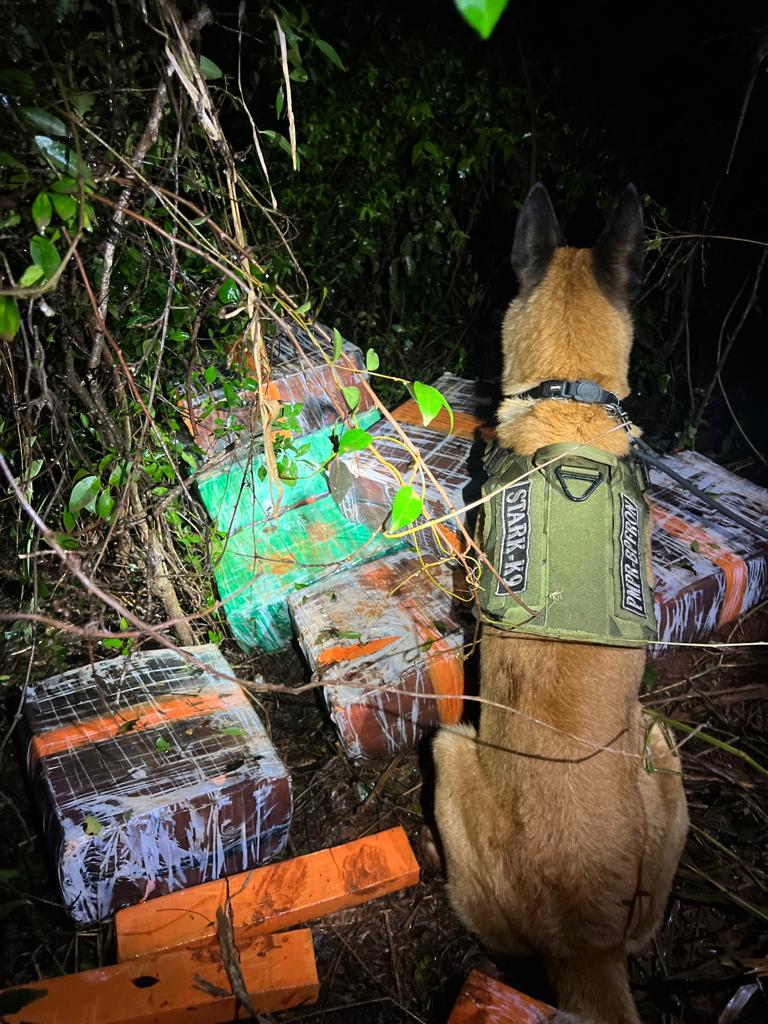 BPFron apreende 205 quilos de maconha abandonados na mata em Pato Bragado