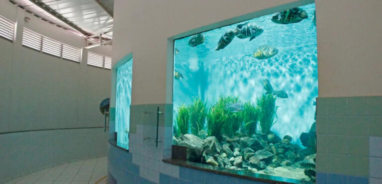 Suko propõe construção de Aquário Municipal no Parque de Lazer Rodolfo Rieger