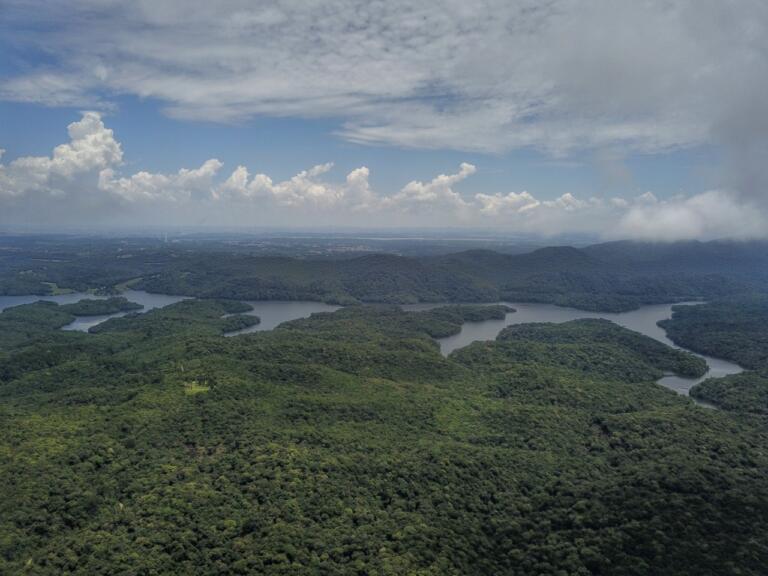 Paraná é líder nacional em sustentabilidade ambiental no Ranking de Competitividade dos Estados