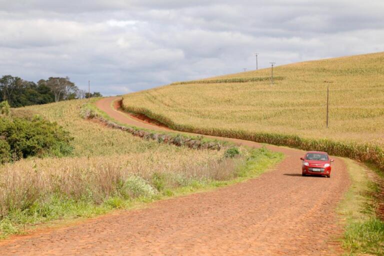 Derrubada do marco temporal “terá consequências drásticas para o setor agropecuário”, aponta CNA