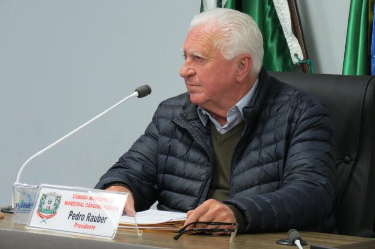 Vereadores solicitam empenho dos senadores do Paraná na efetivação do piso da enfermagem