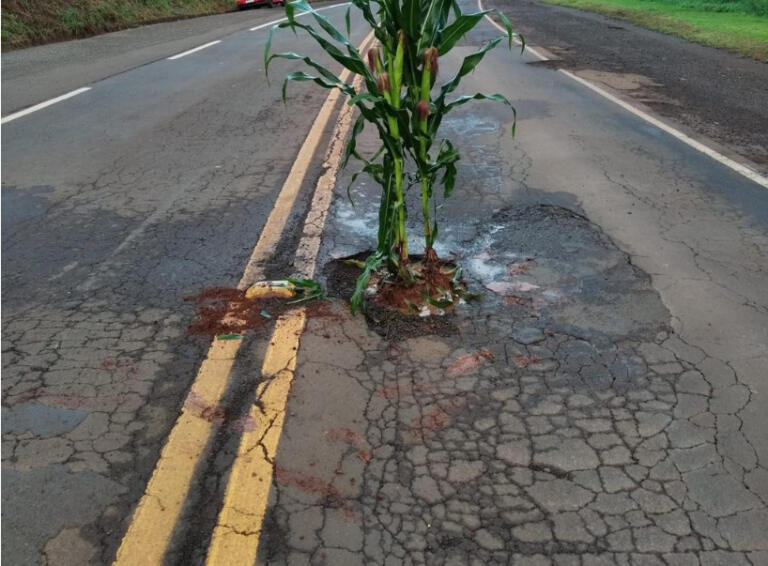 DER é acionado para “tapa-buracos” na rodovia Marechal Rondon-Nova Santa Rosa