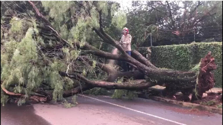 Temporal afetou 29,9 mil imóveis no Oeste; 23 mil continuam sem energia elétrica em Cascavel