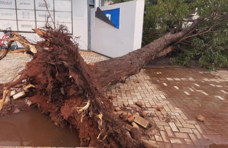 Vendaval causa estragos em Nova Santa Rosa