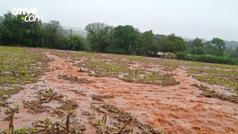 Chuva torrencial provoca enxurrada na área rural de Toledo