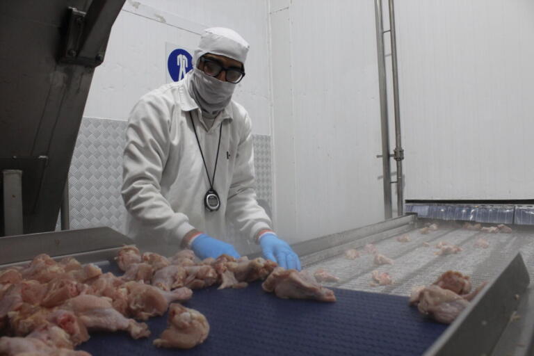 Oeste é protagonista na geração de empregos