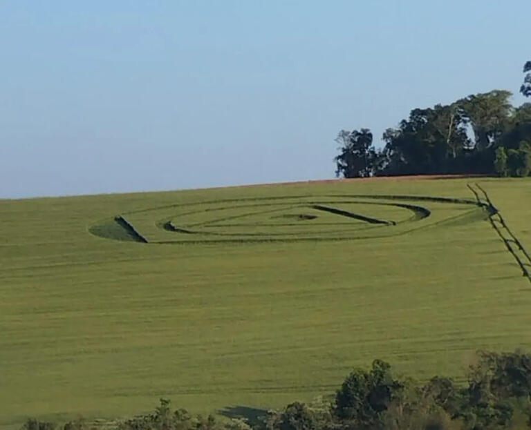 Agroglifos: entenda como surgem marcas “misteriosas” em plantações na região Sul