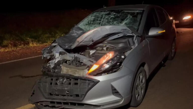 Boi invade pista e morre atropelado na PR-182 em Maripá; HB20 fica destruído e condutora ferida