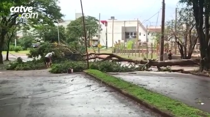 Toledo é um dos locais mais críticos em virtude do temporal; 1,3 mil unidades consumidoras ficam sem energia