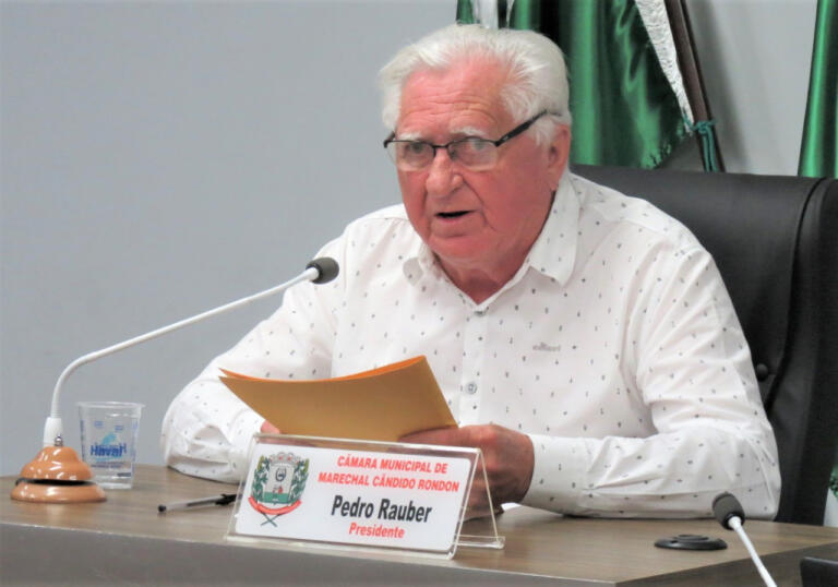 Pedro Rauber propõe programa de recolha de pneus usados em borracharias