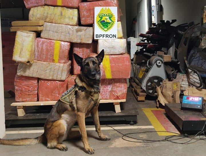 Carga de maconha avaliada em R$ 1,3 milhão é aprendida no interior de Marechal Rondon