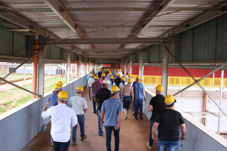 Frimesa se prepara para inaugurar frigorífico em 13 de dezembro; início prevê abate de quatro mil suínos por dia