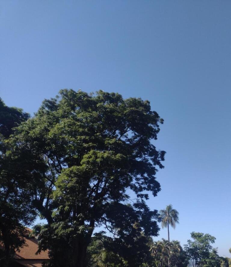 Sextou com previsão de 31ºC para Marechal Rondon