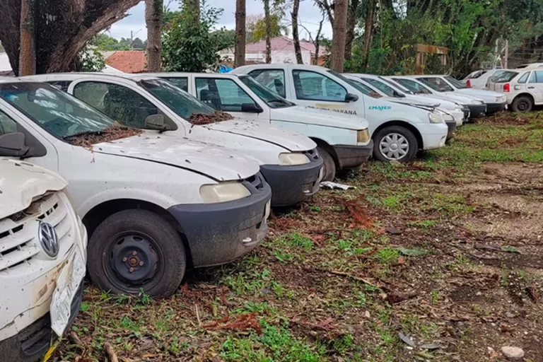 Leilão on-line com quase 300 veículos do Governo do Paraná abre nesta segunda-feira para lances