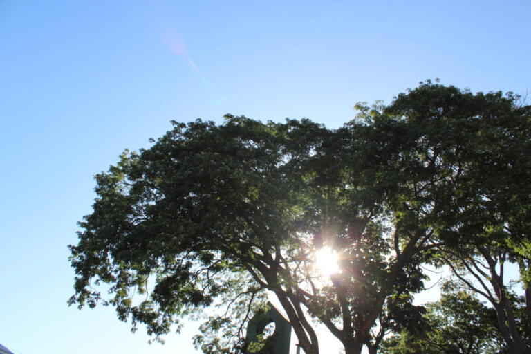 Terça-feira será marcada por sol e calor; máxima deve atingir 32˚C