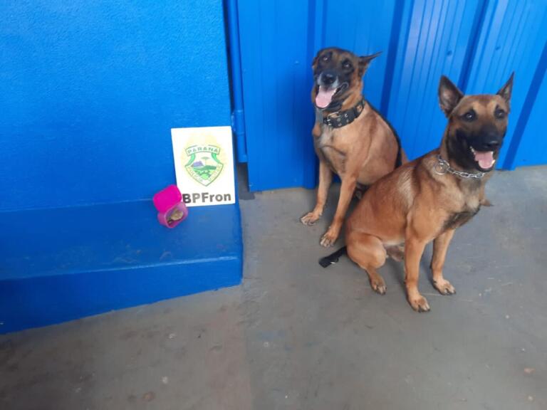 Indivíduo flagrado com cigarros de maconha é encaminhado à Delegacia de Marechal Rondon