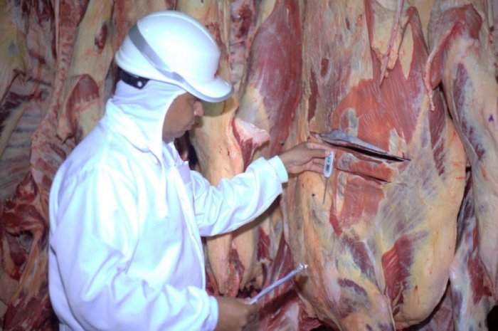 Autocontrole: projeto de lei que moderniza inspeção vai a plenário nesta terça