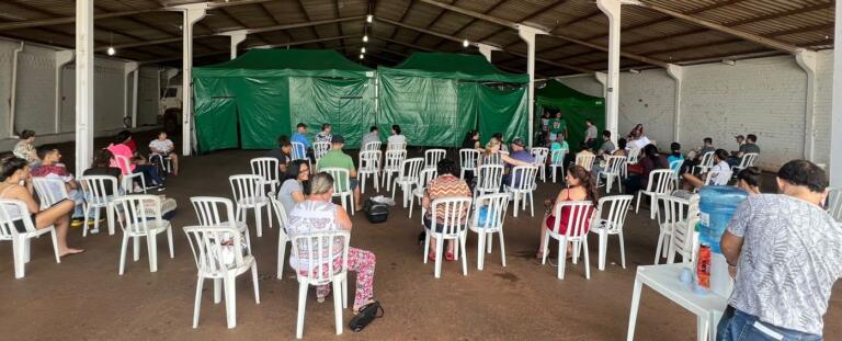 Castrapet abre mais 40 vagas para procedimentos em cães e gatos em Marechal Rondon