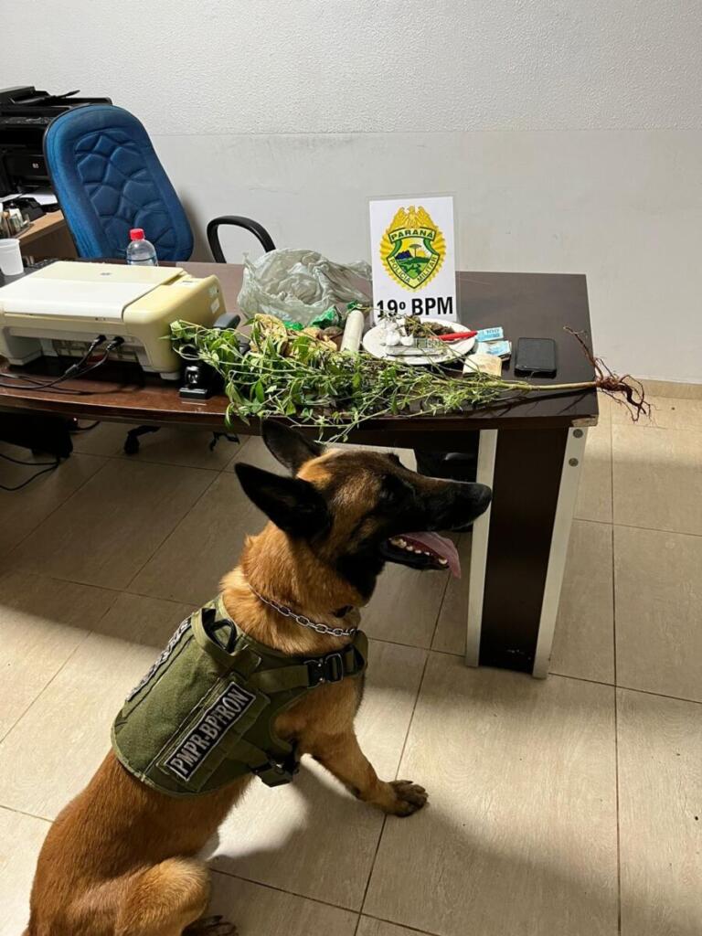 BPFron e 19º Batalhão cumprem mandado de busca e apreensão em Marechal Rondon