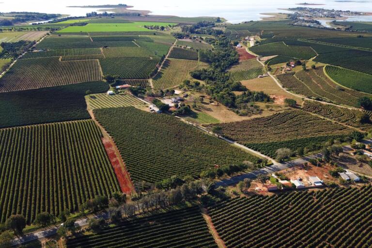 PIB do Paraná cresce acima da média nacional no 3º trimestre