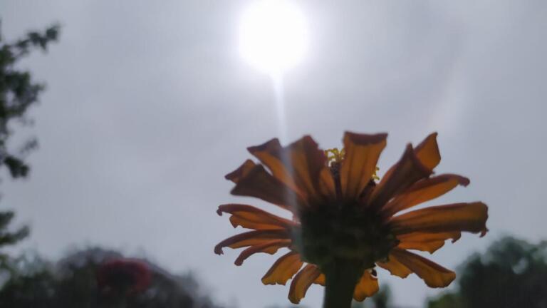 Avanço de frente fria muda as condições do tempo em todo o Paraná