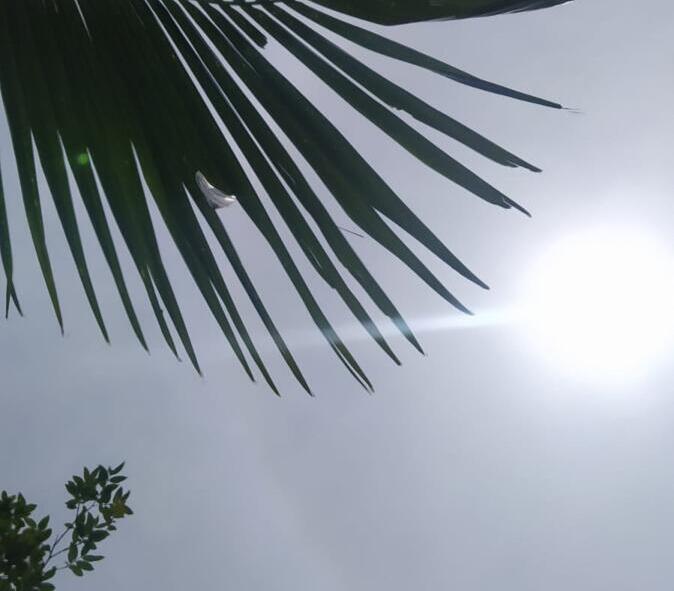 Como serão os dias que antecedem o Natal no Paraná; confira a previsão para Marechal Rondon