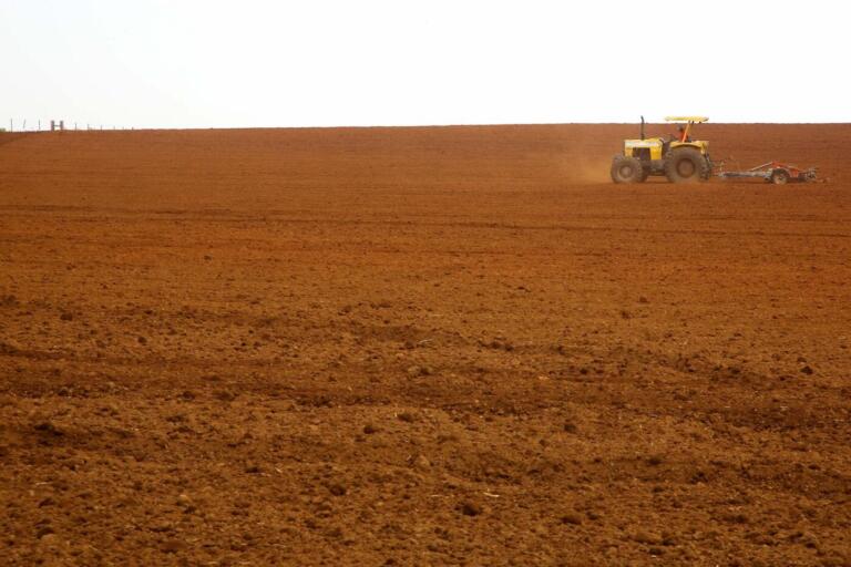 Paraná tem a melhor classificação do Brasil em potencialidade agrícola, segundo estudo do IBGE