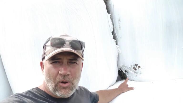 Raio atinge estoque de silagem em sítio no interior de Toledo