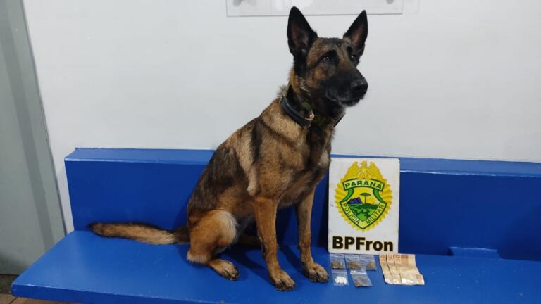 BPFron flagra mulher com cocaína em Marechal Rondon; na casa dela havia maconha e haxixe