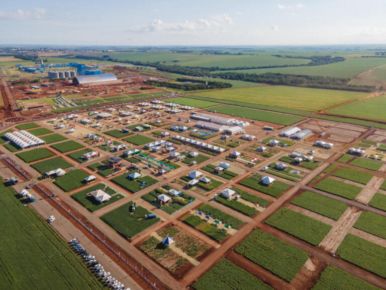 C.Vale retoma edições presenciais do Dia de Campo