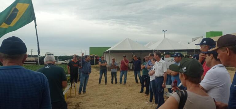 Dia de Campo da Primato atrai cerca de 350 produtores de soja a Toledo