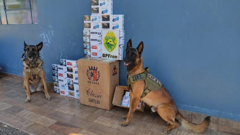 BPFron apreende cigarros contrabandeados em Marechal Rondon