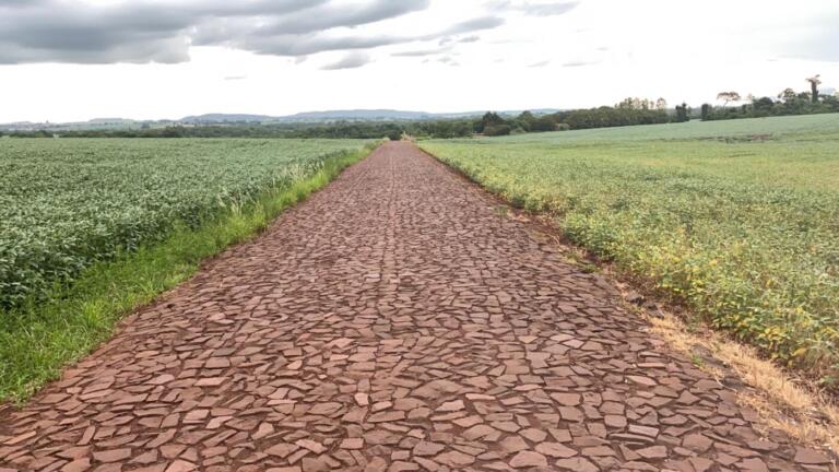 Retorno da chuva traz alento aos agricultores da microrregião; perdas em algumas lavouras chegam a 50%