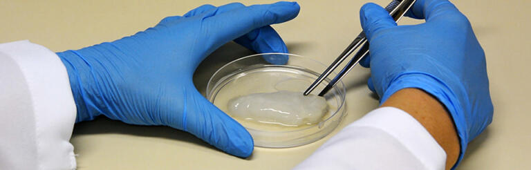 Brasil está na vanguarda no desenvolvimento de carne cultivada