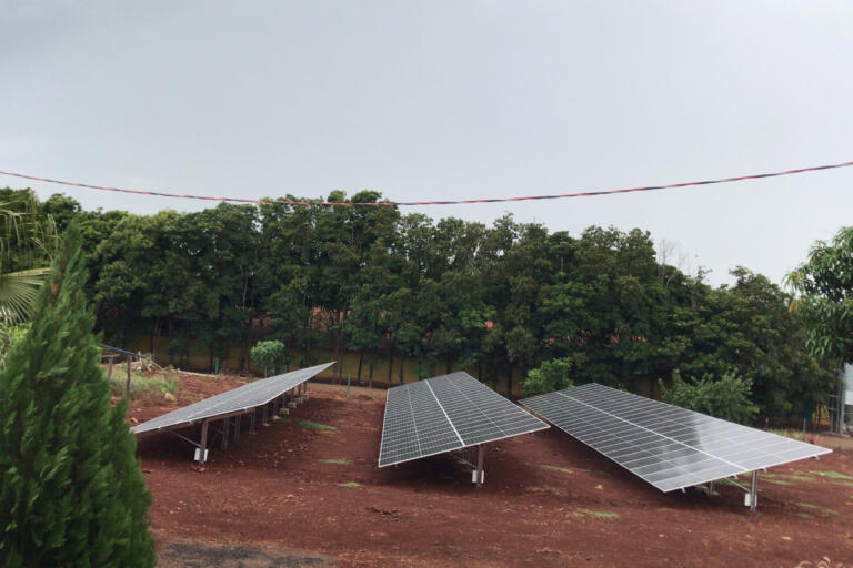 Avicultora de Santa Helena concretiza sonho de implementar sistema solar com apoio do Estado e BRDE
