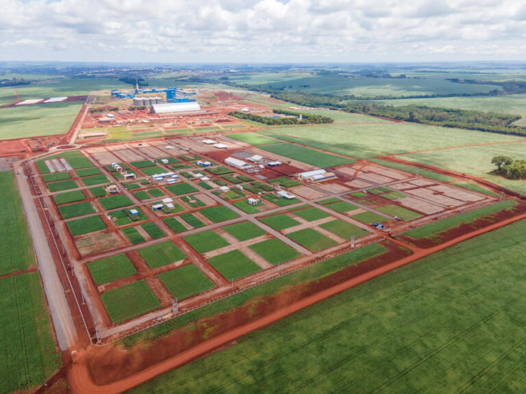 Dia de Campo da C.Vale vai acontecer de 10 a 12 de janeiro