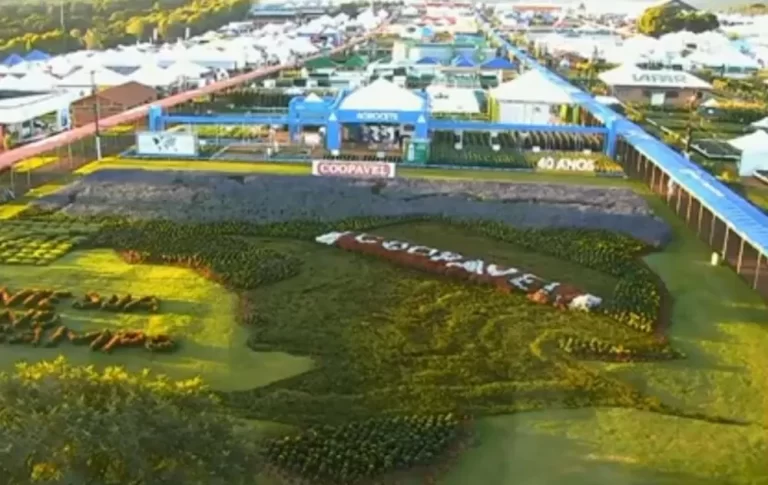 Coopavel abre 500 vagas de emprego temporário para evento