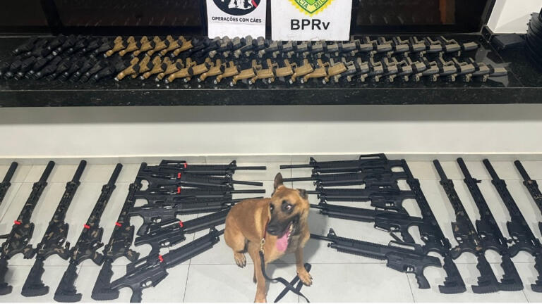 Polícia Rodoviária do Paraná faz maior apreensão de armas da história no Estado
